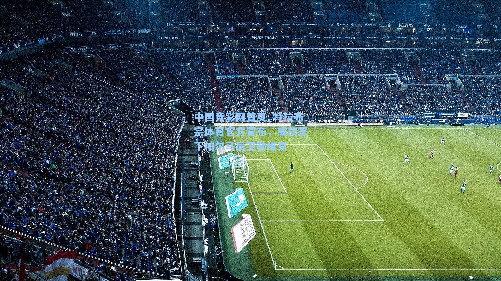 特拉布宗体育官方宣布，成功签下帕尔马后卫勒维克