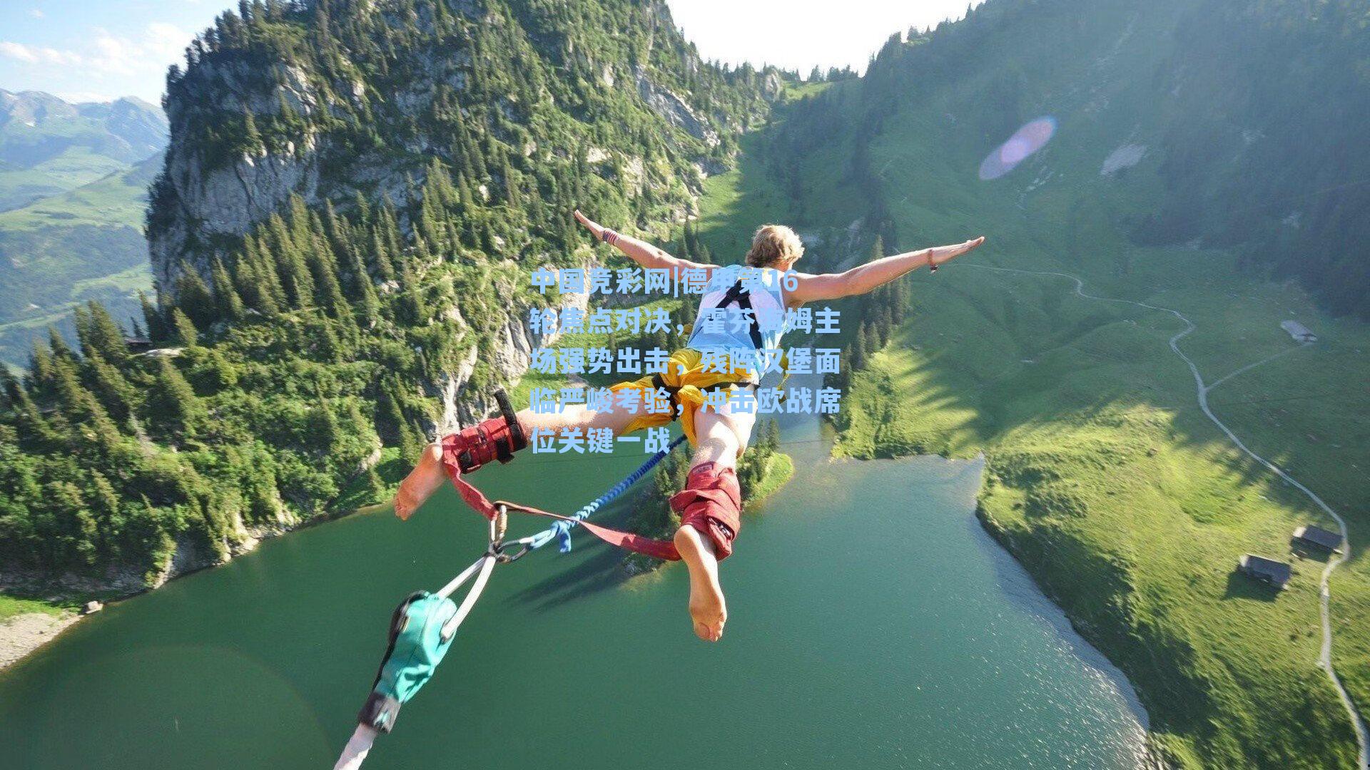 德甲第16轮焦点对决，霍芬海姆主场强势出击，残阵汉堡面临严峻考验，冲击欧战席位关键一战