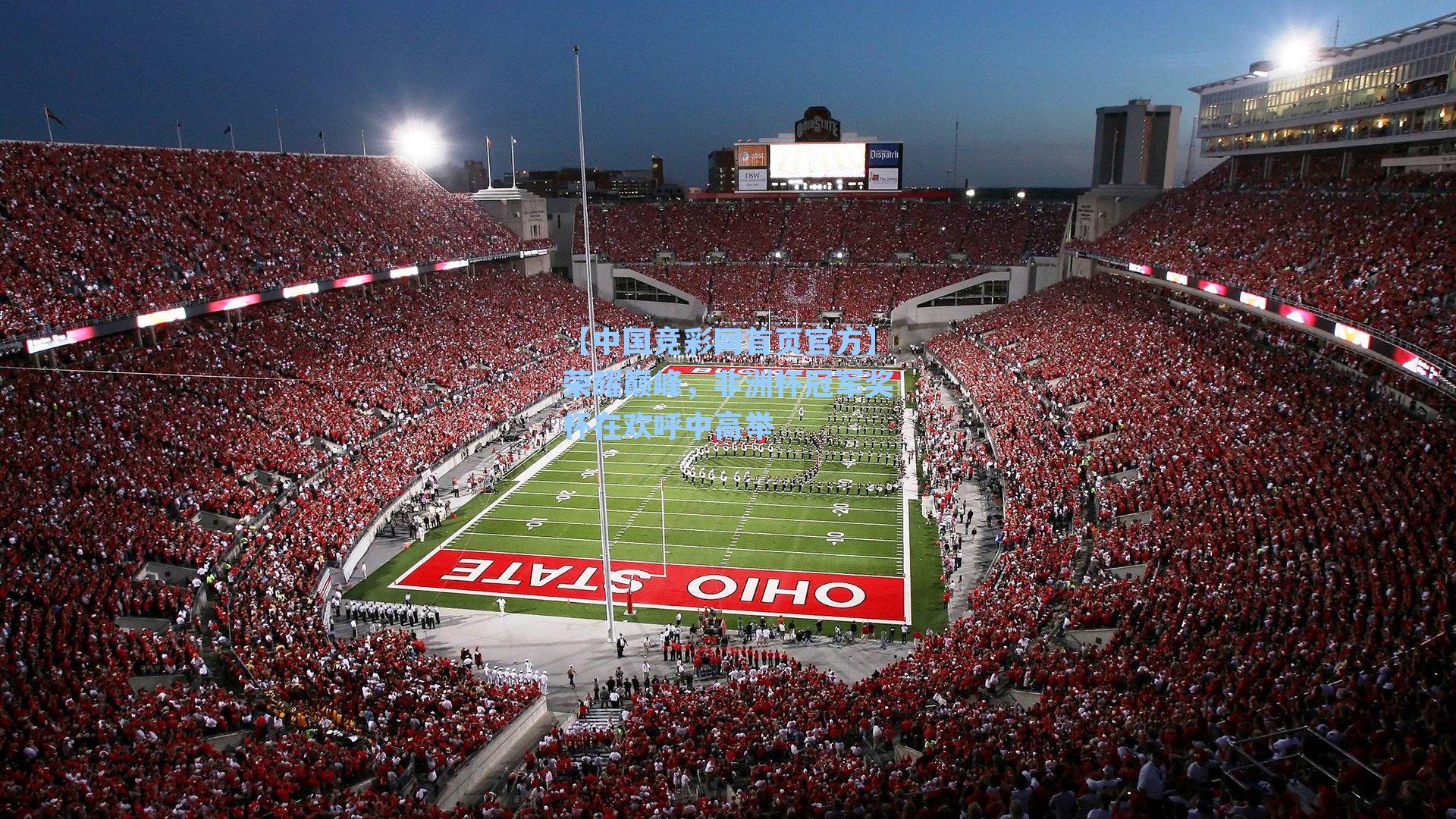 荣耀巅峰，非洲杯冠军奖杯在欢呼中高举