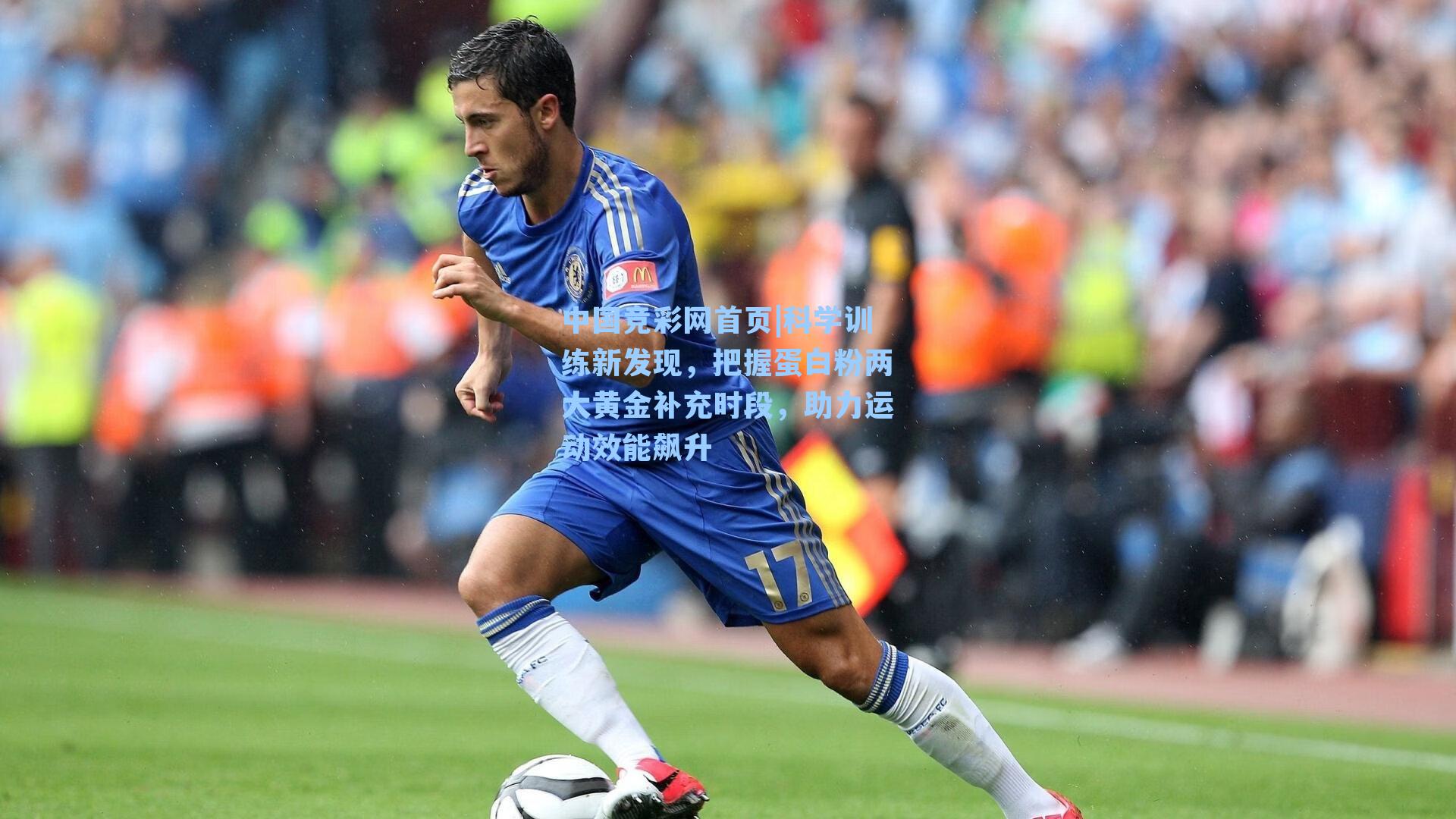 科学训练新发现，把握蛋白粉两大黄金补充时段，助力运动效能飙升